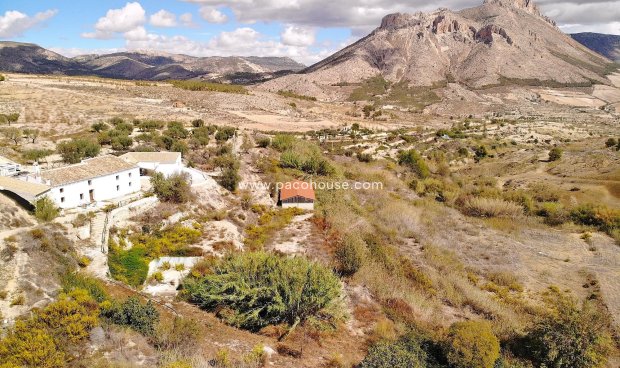 Cortijo - Resale - Velez-Blanco - Velez-Blanco