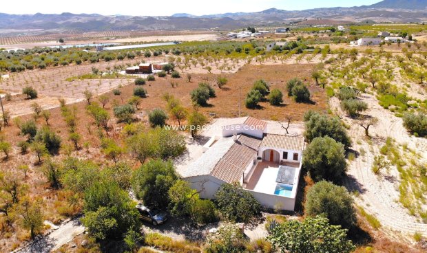 Cortijo - Reventa - Velez-Blanco -
                Velez-Blanco