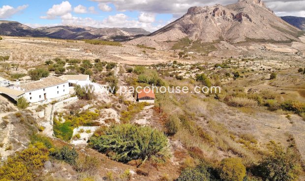 Cortijo - Reventa - Velez-Blanco -
                Velez-Blanco