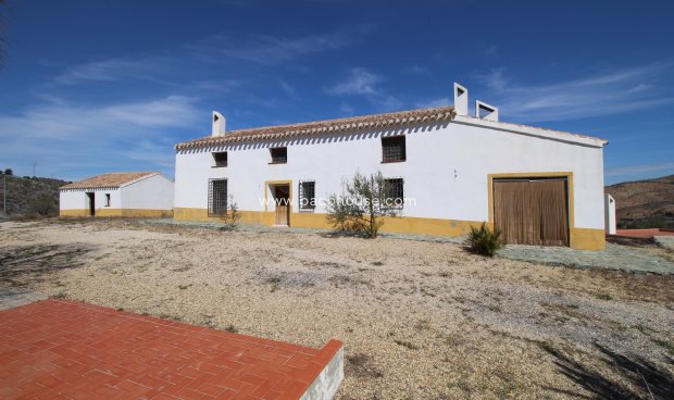 Cortijo - Reventa - Zarzalico - Zarzalico