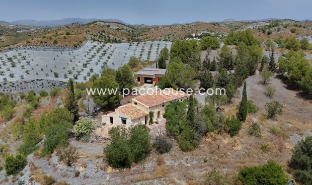 Cortijo - Reventa - Zarzalico - Zarzalico