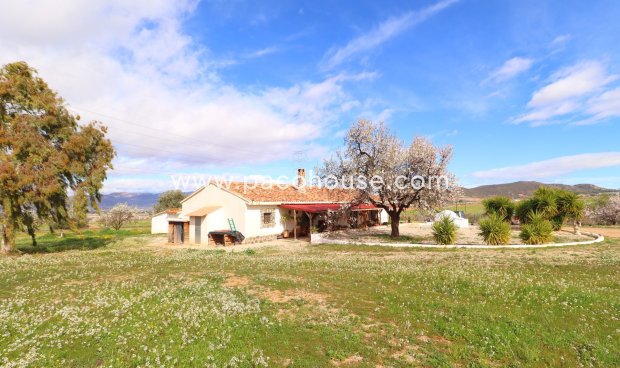 Country House - Resale -
        Lorca - 3042-CH
