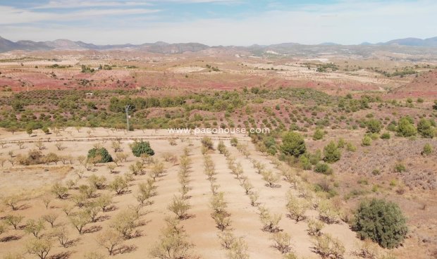 Parcela / Terreno - Reventa - La Parroquia -
                La Parroquia