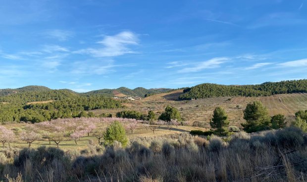 Parcela / Terreno - Reventa - La Parroquia -
                La Parroquia