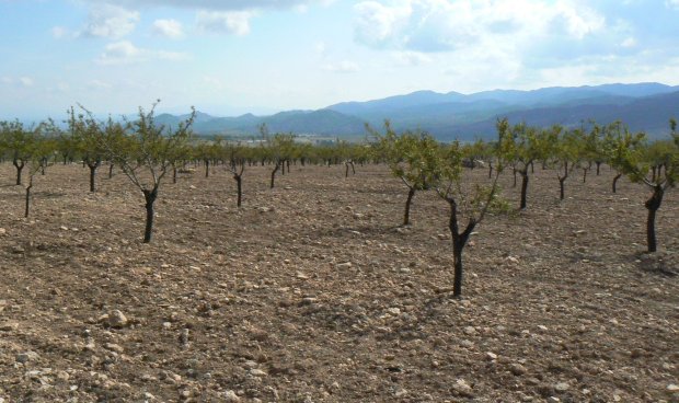 Parcela / Terreno - Reventa - La Parroquia -
                La Parroquia