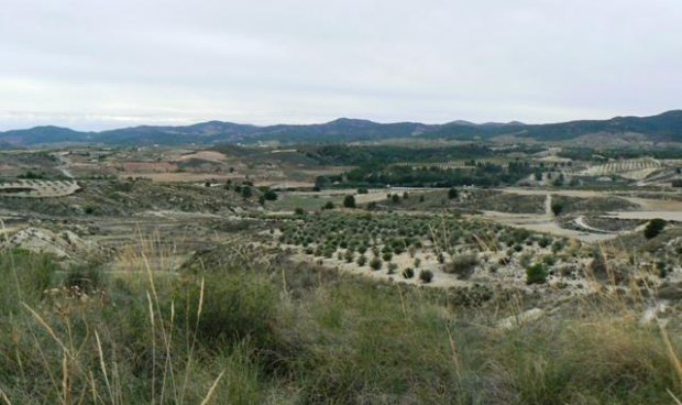 Parcela / Terreno - Reventa - La Parroquia -
                La Parroquia