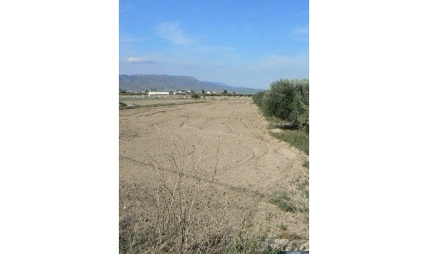 Parcela / Terreno - Reventa - Lorca -
                Lorca