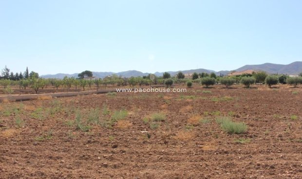 Parcela / Terreno - Reventa - Purias -
                Purias