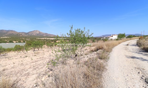 Parcela / Terreno - Reventa - Zarzadilla De Totana -
                Zarzadilla De Totana