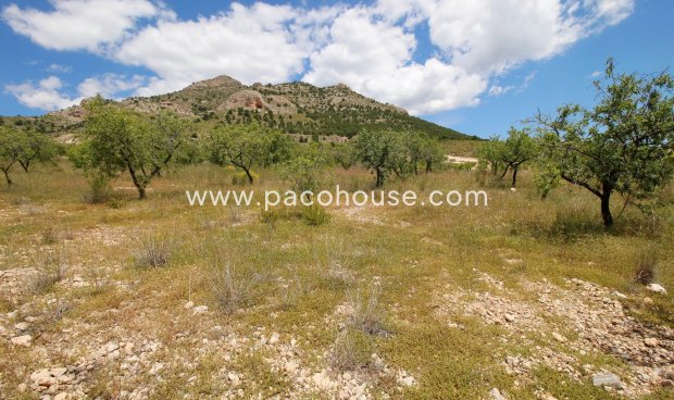 Parcela / Terreno - Reventa - Zarzadilla De Totana -
                Zarzadilla De Totana
