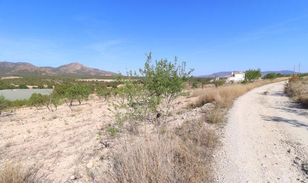 Parcela / Terreno - Reventa - Zarzadilla De Totana -
                Zarzadilla De Totana