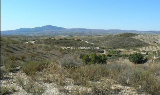 Parcela / Terreno - Reventa - Zarzalico -
                Zarzalico