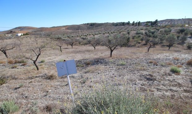 Parcela / Terreno - Reventa - Zarzalico -
                Zarzalico