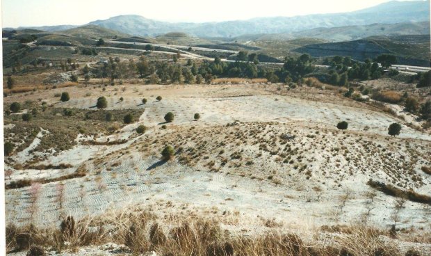 Parcela / Terreno - Reventa - Zarzalico -
                Zarzalico