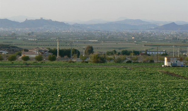 Plot / Land - Resale - Aguaderas -
                Aguaderas