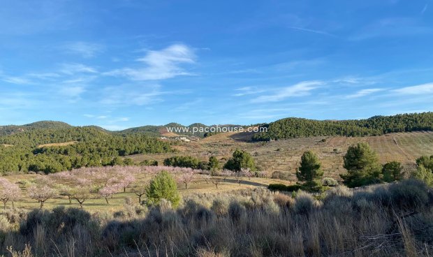 Plot / Land - Resale - La Parroquia -
                La Parroquia