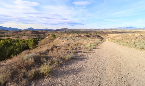 Plot / Land - Resale - La Parroquia -
                La Parroquia