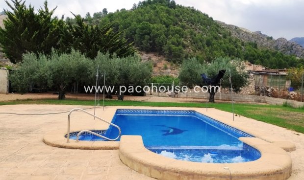 Plot / Land - Resale - Lorca -
                Lorca