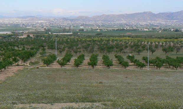 Plot / Land - Resale - Purias -
                Purias