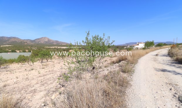 Plot / Land - Resale -
        Zarzadilla De Totana - 2275-LD