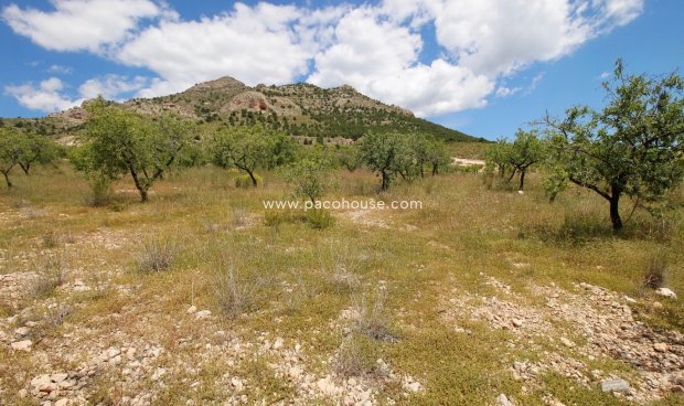 Plot / Land - Resale - Zarzadilla De Totana -
                Zarzadilla De Totana