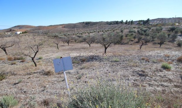 Plot / Land - Resale - Zarzalico -
                Zarzalico