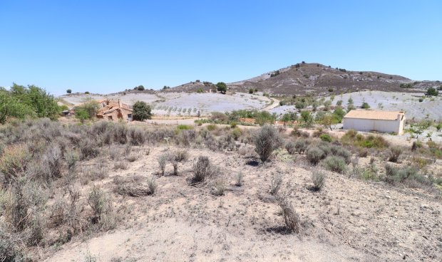 Plot / Land - Resale - Zarzalico -
                Zarzalico