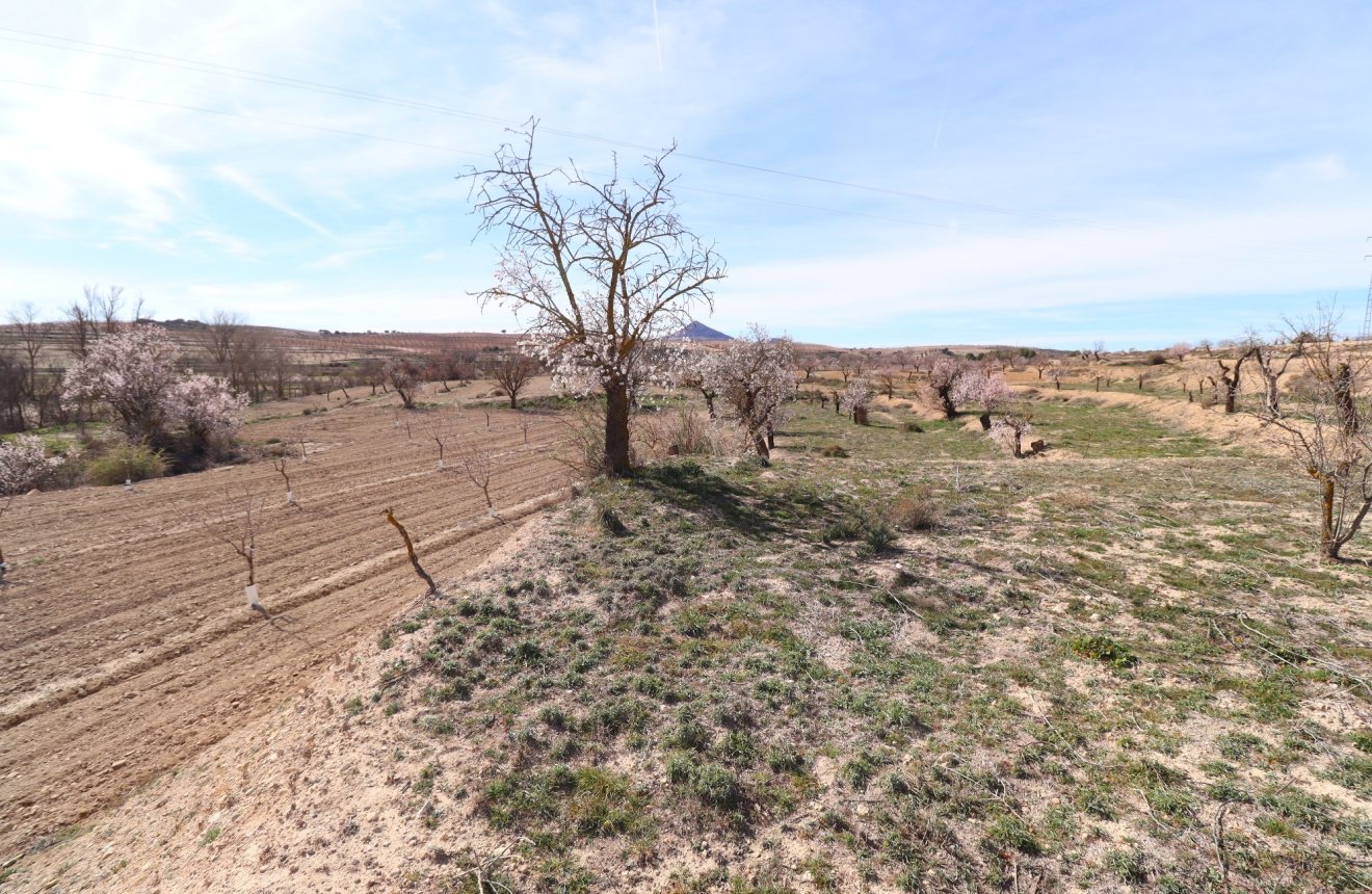 Resale - Cortijo -
Chirivel