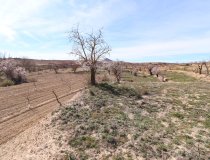 Resale - Cortijo -
Chirivel