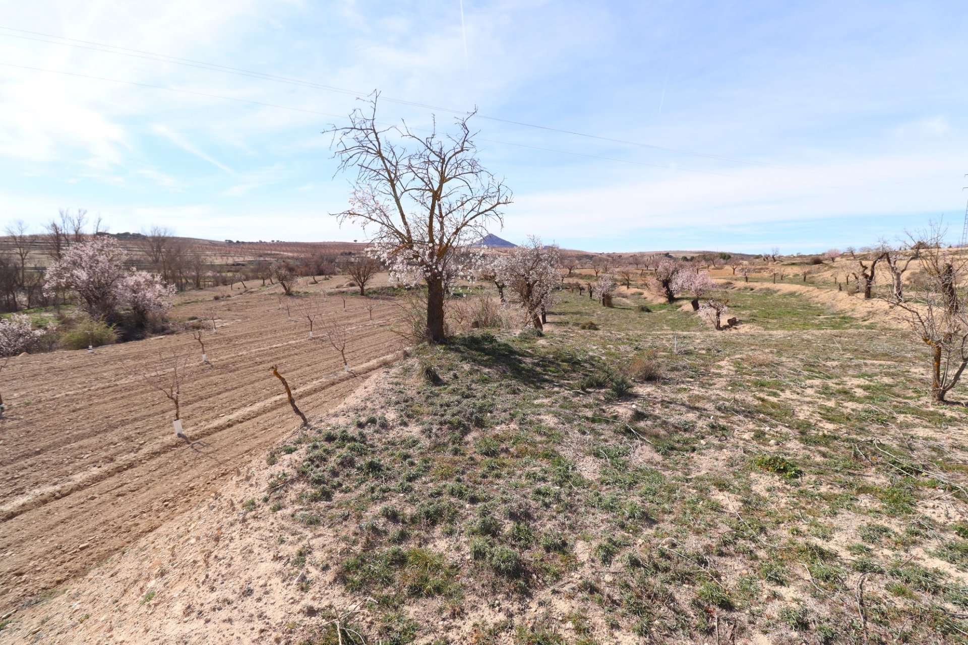 Resale - Cortijo -
Chirivel