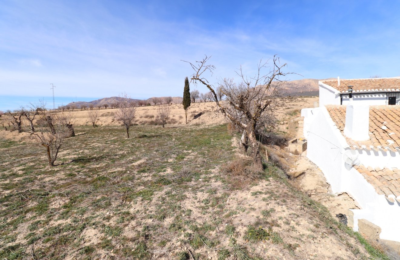 Resale - Cortijo -
Chirivel