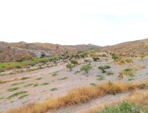 Resale - Cortijo -
Puerto Lumbreras