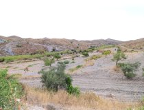 Resale - Cortijo -
Puerto Lumbreras