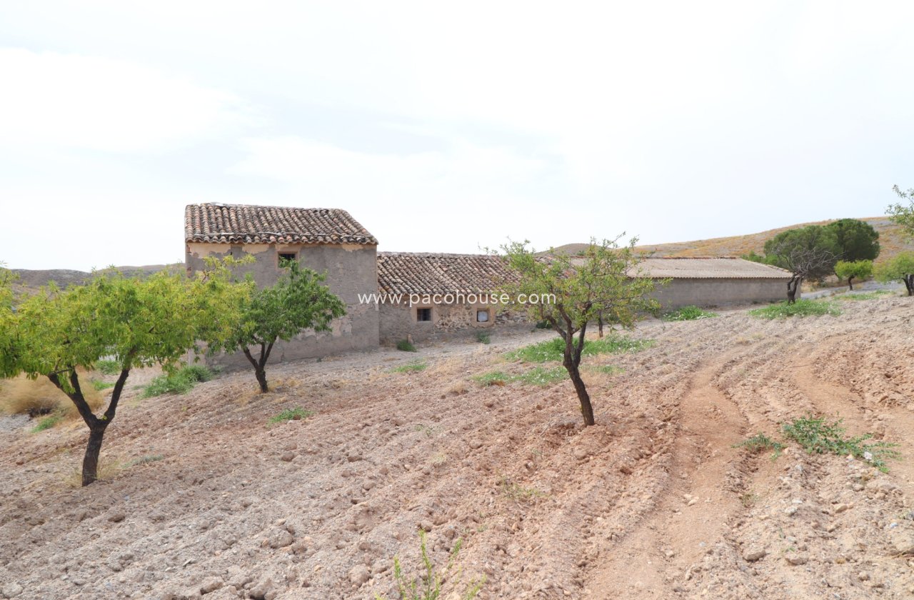 Resale - Cortijo -
Puerto Lumbreras