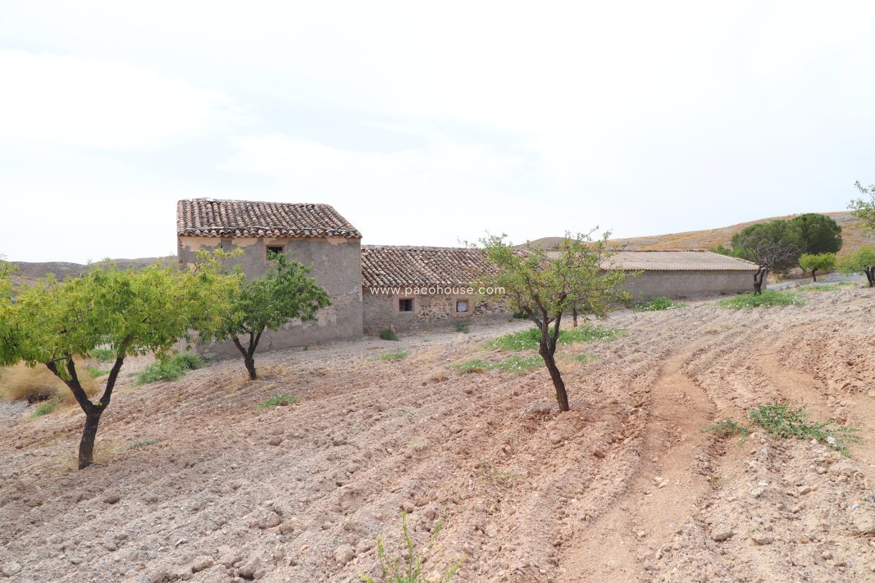 Resale - Cortijo -
Puerto Lumbreras