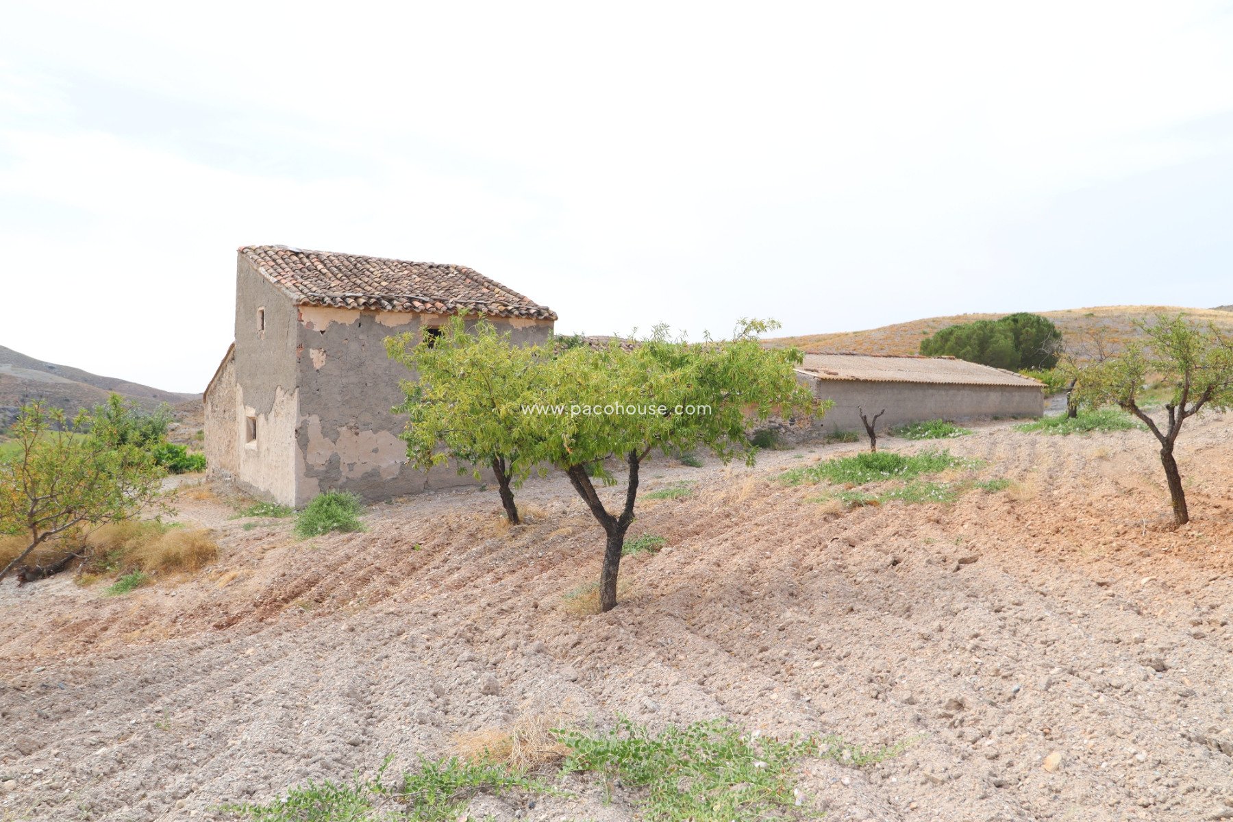 Resale - Cortijo -
Puerto Lumbreras