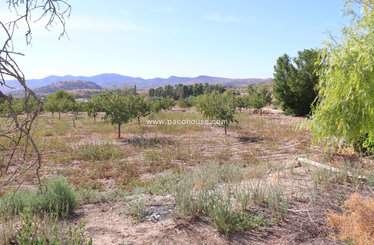 Resale - Cortijo -
Velez-Blanco