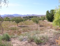 Resale - Cortijo -
Velez-Blanco