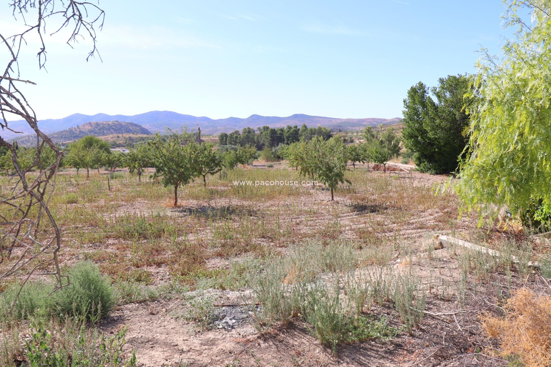 Resale - Cortijo -
Velez-Blanco