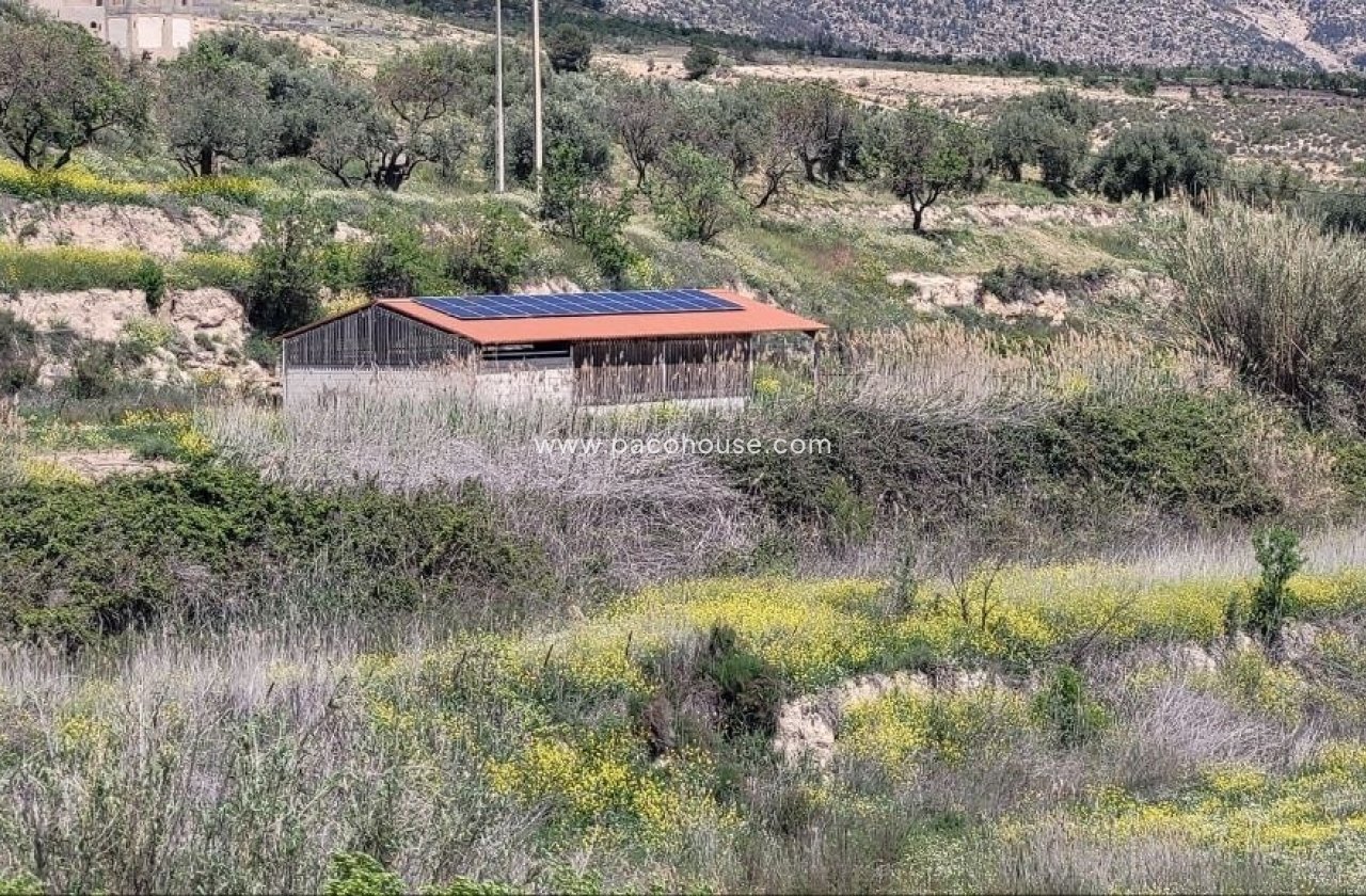 Resale - Cortijo -
Velez-Blanco