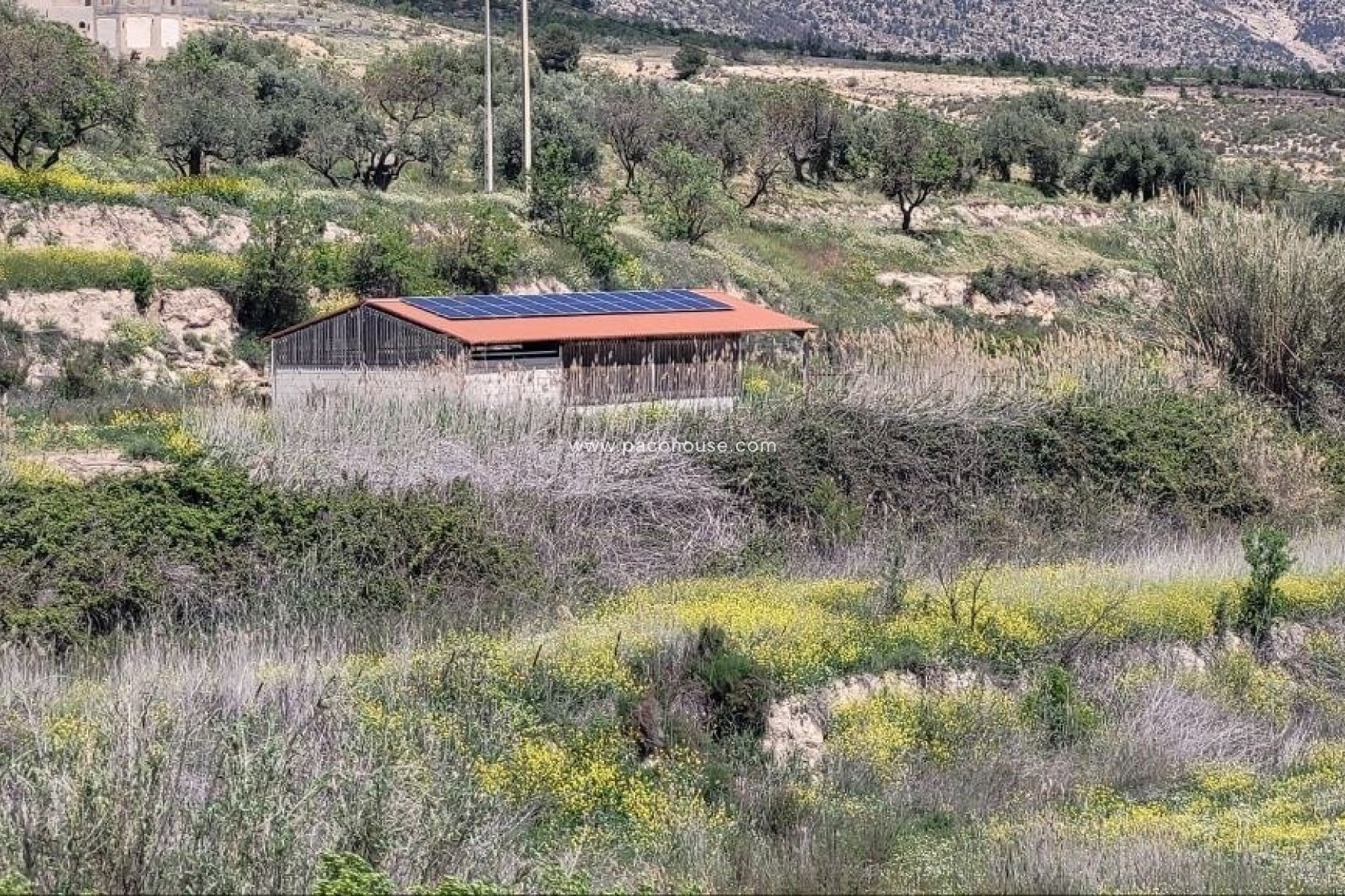 Resale - Cortijo -
Velez-Blanco