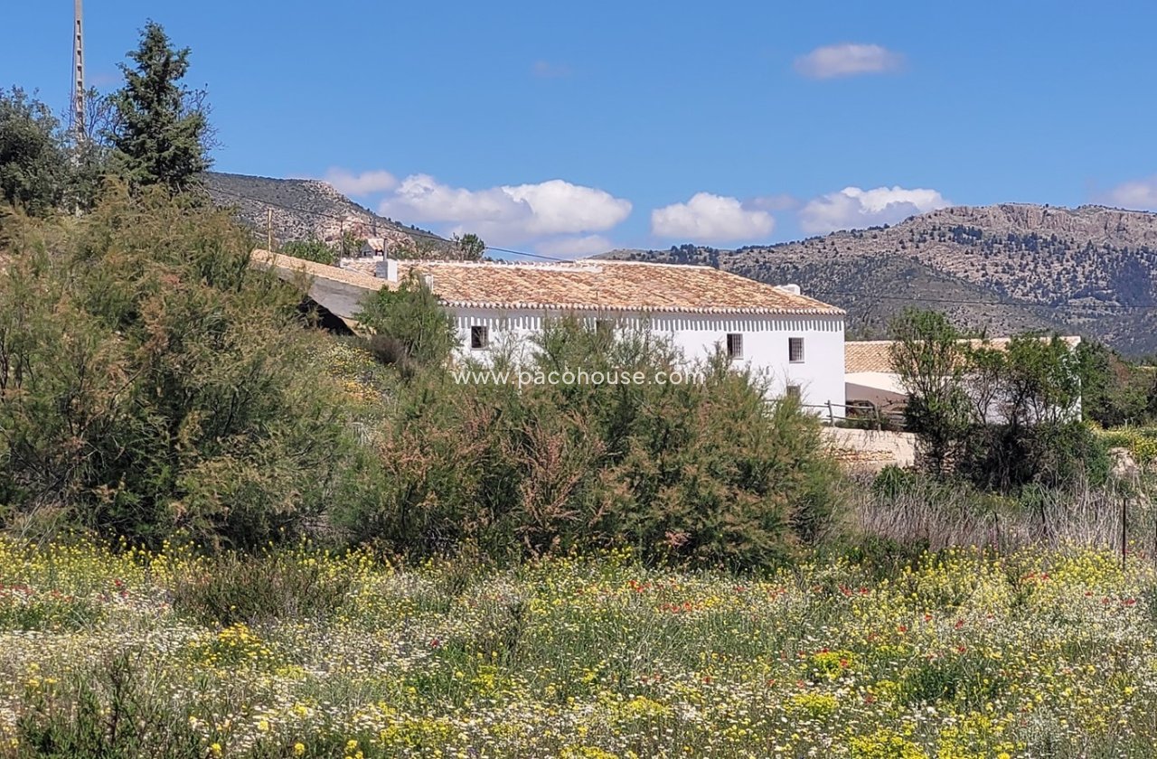 Resale - Cortijo -
Velez-Blanco