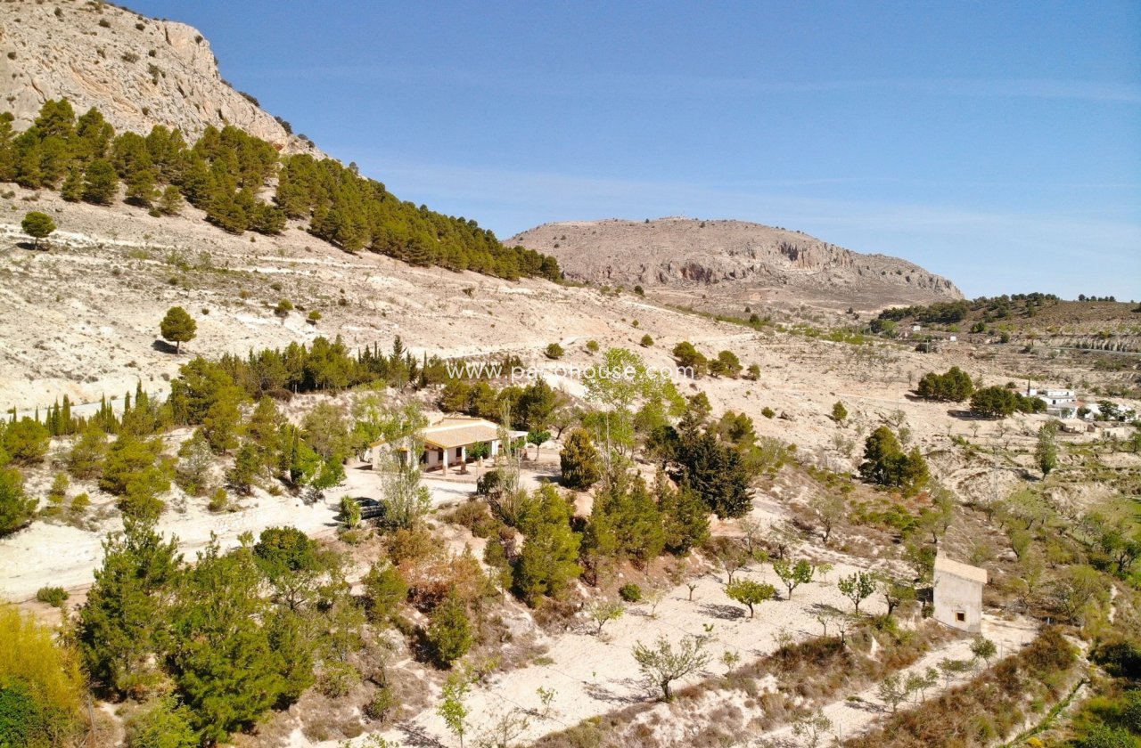 Resale - Cortijo -
Velez-Blanco