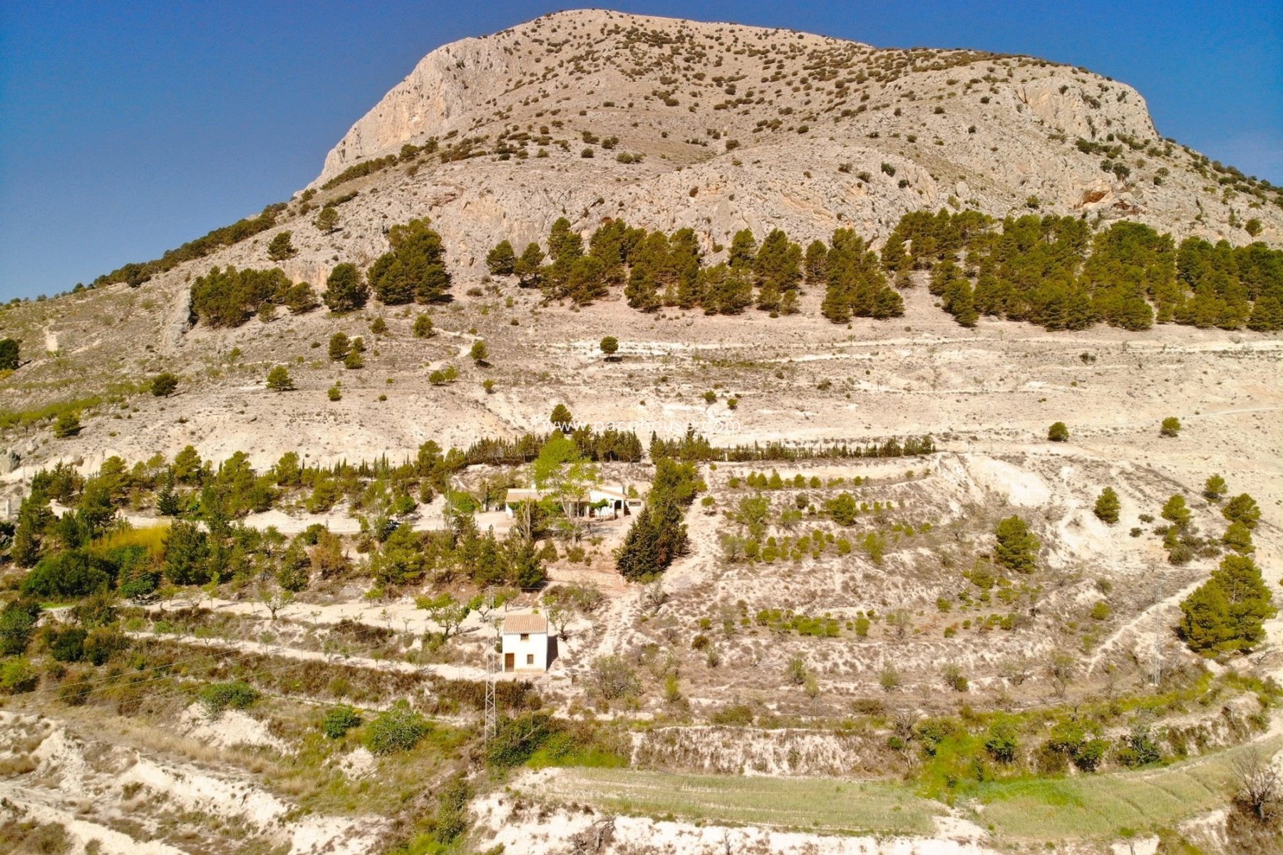 Resale - Cortijo -
Velez-Blanco