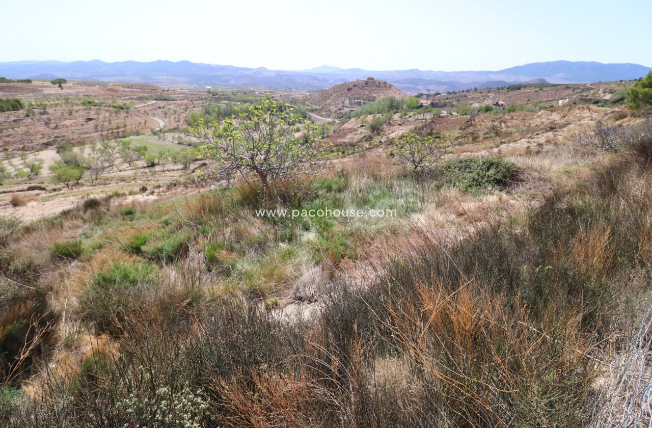 Resale - Cortijo -
Velez-Blanco