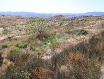 Resale - Cortijo -
Velez-Blanco