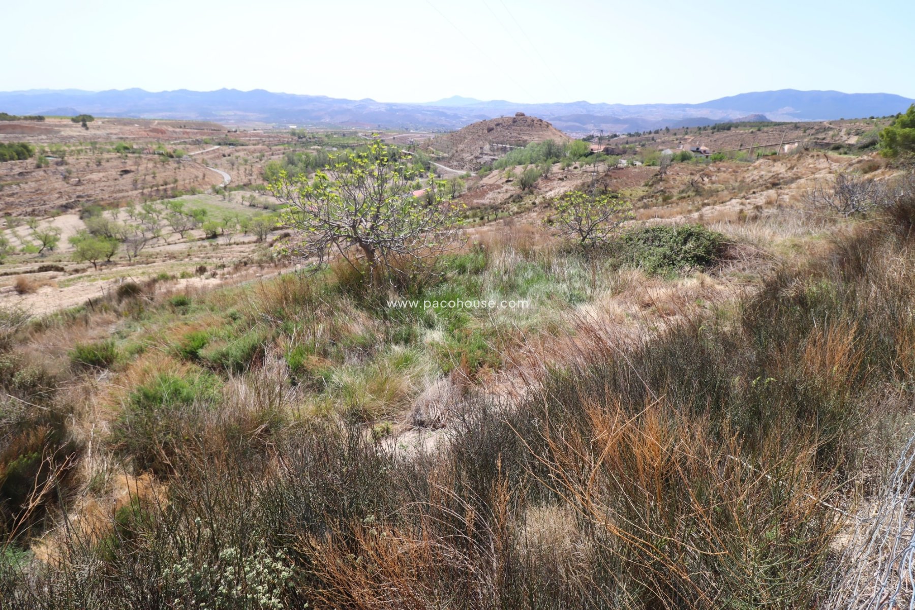 Resale - Cortijo -
Velez-Blanco