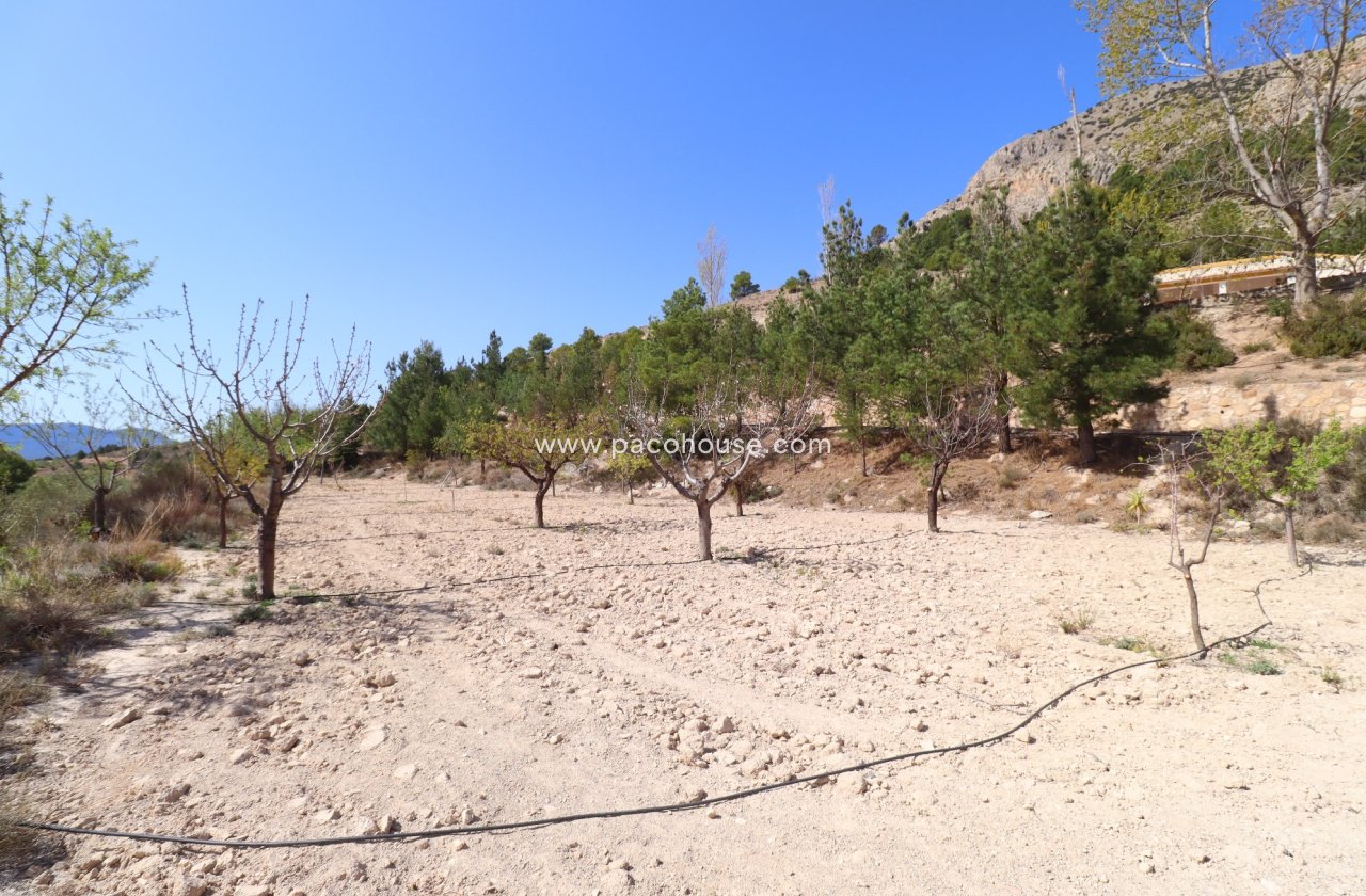 Resale - Cortijo -
Velez-Blanco