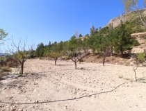 Resale - Cortijo -
Velez-Blanco