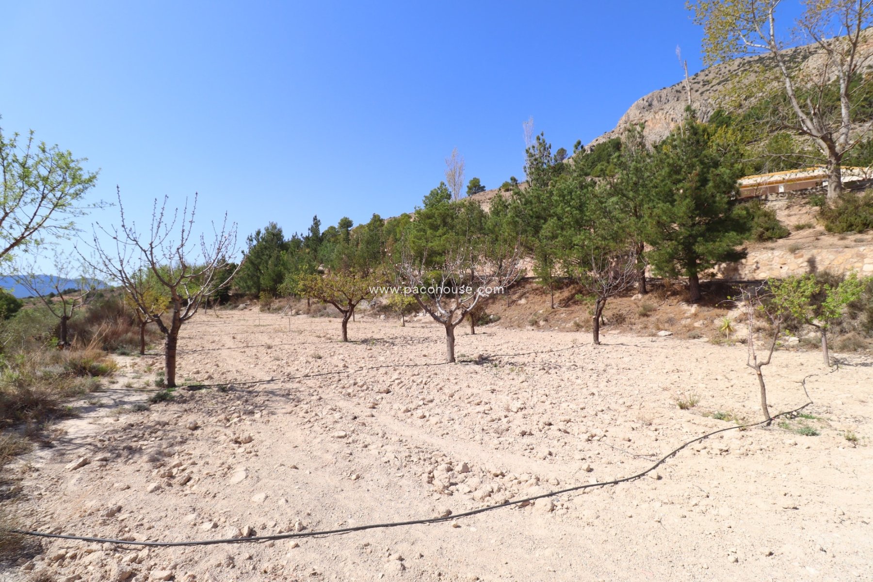 Resale - Cortijo -
Velez-Blanco